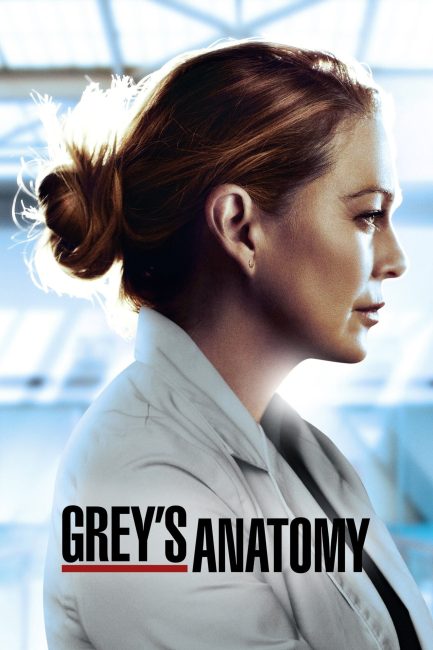 مسلسل Grey’s Anatomy الموسم 17 الحلقة 5 مترجمة